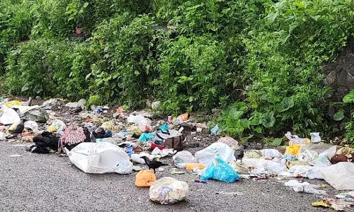 BMC की टालमटोल के बावजूद 49% मुंबईकर कचरा शुल्क के पक्ष में; 52% कूड़ा फेंकने पर जुर्माने के समर्थन में BMC की टालमटोल के बावजूद 49% मुंबईकर कचरा शुल्क के पक्ष में; 52% कूड़ा फेंकने पर जुर्माने के समर्थन में