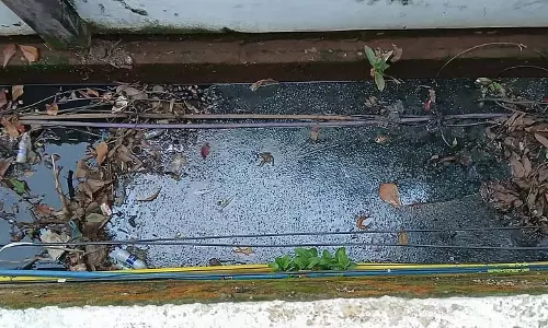 Fatorda जॉगिंग ट्रैक के पास प्रदूषित नाला जन स्वास्थ्य के लिए खतरा Fatorda जॉगिंग ट्रैक के पास प्रदूषित नाला जन स्वास्थ्य के लिए खतरा