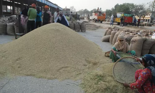 Haryana : ऑपरेशन बासमती में हरियाणा को फायदा Haryana : ऑपरेशन बासमती में हरियाणा को फायदा