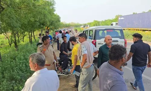 Jhajjar में ट्रक ने मवेशियों के झुंड को टक्कर मारी, 15 की मौत