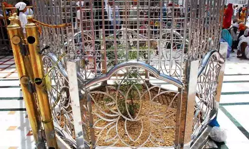 ऑपरेशन ब्लूस्टार में नष्ट हुआ ऐतिहासिक पेड़, Akal Takht पर नया इमली पौधा लगा