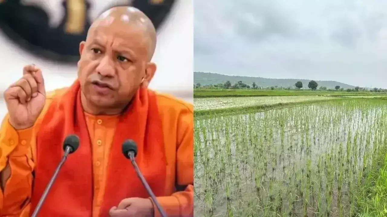 Lucknow: किसानों को लाभ पहुंचाने 47 जिलों में न्यूट्री सीरियल्स खेती पर फोकस