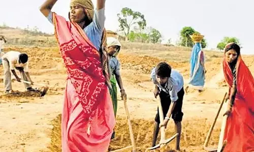 NREGA परियोजना के लिए वित्तपोषण: अनुदान में 12% वृद्धि संभव NREGA परियोजना के लिए वित्तपोषण: अनुदान में 12% वृद्धि संभव