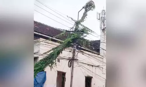 Kerala : बिजली के खंभों पर लगे अपशिष्ट संयंत्र खतरा पैदा करते
