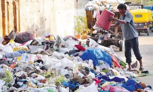 कचरा फेंका तो काम की गारंटी; 14 स्थानों पर लगाए गए 31 कैमरे कचरा फेंका तो काम की गारंटी; 14 स्थानों पर लगाए गए 31 कैमरे