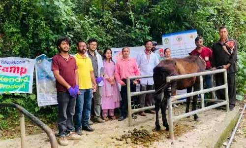 विश्वविद्यालय ने Mandi जिले में 19 घोड़ा-आधारित पशु चिकित्सा शिविर आयोजित किए विश्वविद्यालय ने Mandi जिले में 19 घोड़ा-आधारित पशु चिकित्सा शिविर आयोजित किए