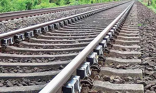 MP : रेल परियोजना के लिए एक लाख से अधिक पेड़ काटे जाएंगे