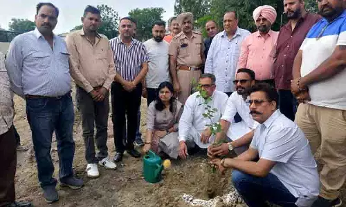 Phagwara MC, एलपीयू ने हरित शहरी अभियान शुरू किया