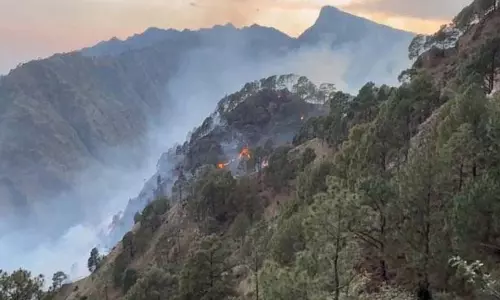 Jammu: सलाल क्षेत्र में जंगल में आग भड़क उठी