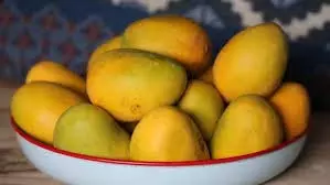 Lifestyle: गर्मियों में आम के साथ न करें इन चीजों का सेवन, सेहत को हो सकता है बड़ा नुकसान Lifestyle: गर्मियों में आम के साथ न करें इन चीजों का सेवन, सेहत को हो सकता है बड़ा नुकसान