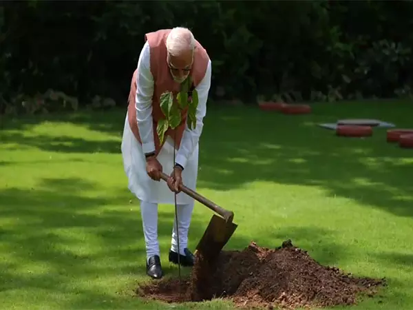 PM Modi ने 1971 के युद्ध में भुज की महिलाओं द्वारा भेंट किया गया सिंदूर का पौधा लगाया PM Modi ने 1971 के युद्ध में भुज की महिलाओं द्वारा भेंट किया गया सिंदूर का पौधा लगाया