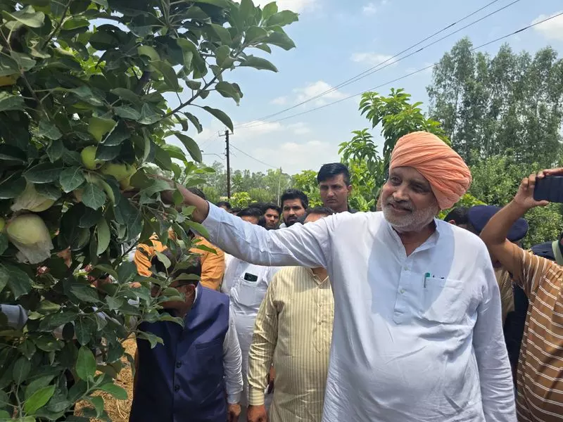 Karnal के किसान ने मैदानी इलाकों में की सेब की खेती, कृषि मंत्री ने की तारीफ Karnal के किसान ने मैदानी इलाकों में की सेब की खेती, कृषि मंत्री ने की तारीफ