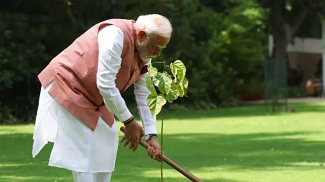 PM Modi ने दिल्ली स्थित अपने आवास पर सिंदूर के पौधे लगाए PM Modi ने दिल्ली स्थित अपने आवास पर सिंदूर के पौधे लगाए
