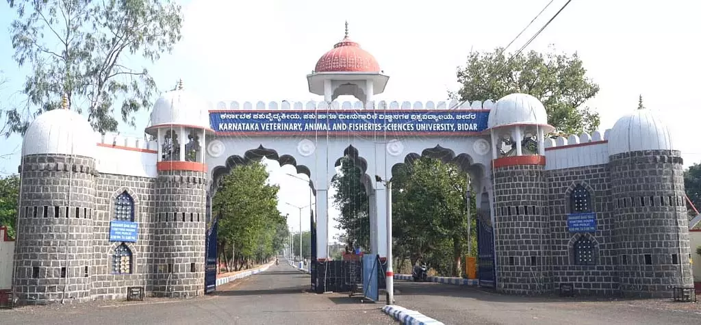 Bidar : राज्य का एकमात्र पशु चिकित्सा विश्वविद्यालय आश्चर्यजनक Bidar : राज्य का एकमात्र पशु चिकित्सा विश्वविद्यालय आश्चर्यजनक