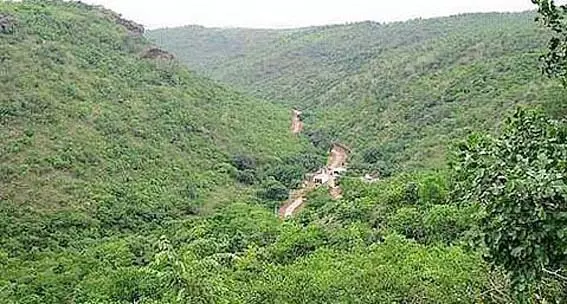 Karnataka : कप्पट्टागुड्डा, एक आकर्षक वन्यजीव अभयारण्य Karnataka : कप्पट्टागुड्डा, एक आकर्षक वन्यजीव अभयारण्य