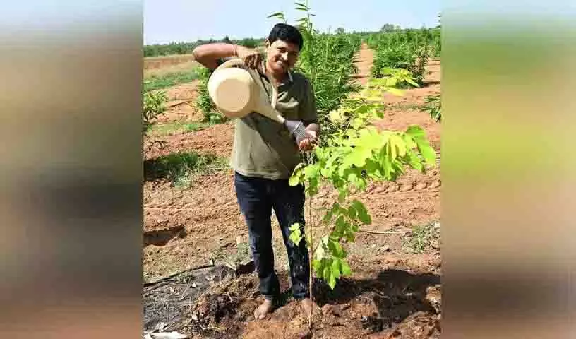 MP Santosh Kumar ने विश्व पर्यावरण दिवस पर पौधे लगाए, ग्रीन इंडिया चैलेंज के लिए नेताओं को नामित किया MP Santosh Kumar ने विश्व पर्यावरण दिवस पर पौधे लगाए, ग्रीन इंडिया चैलेंज के लिए नेताओं को नामित किया