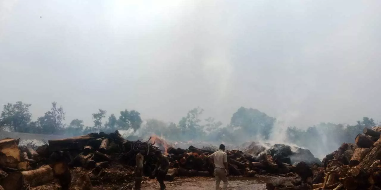प्लाईवुड बनाने की मिल में लगी आग, दमकल की चार गाड़ियां मौके पर प्लाईवुड बनाने की मिल में लगी आग, दमकल की चार गाड़ियां मौके पर