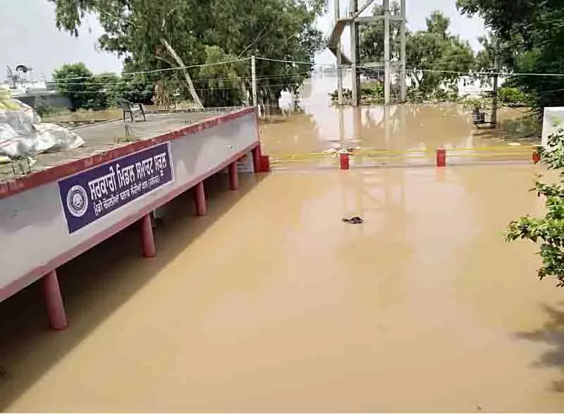 Jalandhar: शिक्षकों ने बाढ़ प्रभावित स्कूलों में सुरक्षित भंडारण कक्ष की मांग की Jalandhar: शिक्षकों ने बाढ़ प्रभावित स्कूलों में सुरक्षित भंडारण कक्ष की मांग की