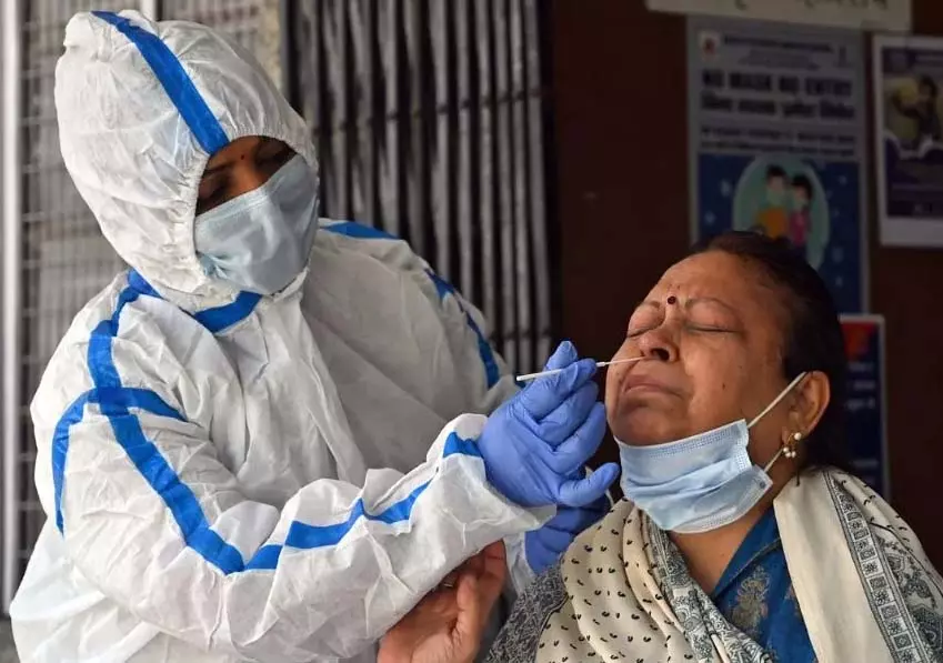 महाराष्ट्र में कोरोना फिर बढ़ा, 105 नए संक्रमित महाराष्ट्र में कोरोना फिर बढ़ा, 105 नए संक्रमित