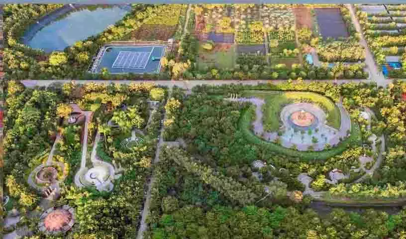 Hyderabad स्थित हार्टफुलनेस संस्थान ने 2030 तक 30 मिलियन पेड़ लगाने का लक्ष्य रखा Hyderabad स्थित हार्टफुलनेस संस्थान ने 2030 तक 30 मिलियन पेड़ लगाने का लक्ष्य रखा
