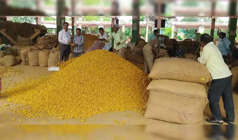 Telangana: बागवानी विश्वविद्यालय ने आर्मूर हल्दी के लिए जीआई अभियान का नेतृत्व किया Telangana: बागवानी विश्वविद्यालय ने आर्मूर हल्दी के लिए जीआई अभियान का नेतृत्व किया