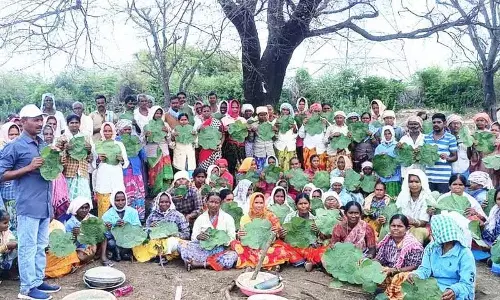 Siddipet: पत्तों की प्लेटें, विश्व पर्यावरण दिवस से पहले बढ़ावा दे रही