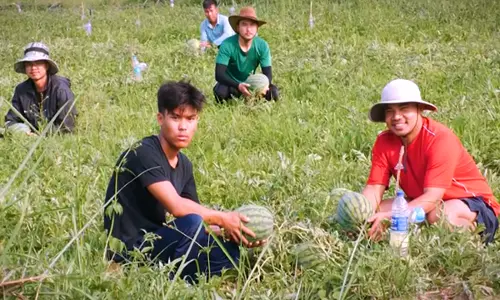 Manipur के युवा जैविक खेती की पहल का नेतृत्व कर रहे