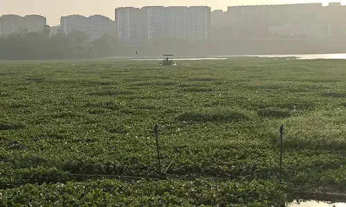 Mumbai : पवई निवासी झील के चारों ओर मानव श्रृंखला बनाएंगे Mumbai : पवई निवासी झील के चारों ओर मानव श्रृंखला बनाएंगे