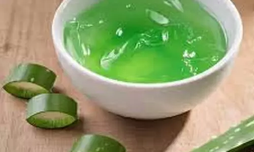 Skin Care: एलोवेरा या बेसन, टैनिंग कम करने के लिए कौन है ज्यादा फायदेमंद Skin Care: एलोवेरा या बेसन, टैनिंग कम करने के लिए कौन है ज्यादा फायदेमंद