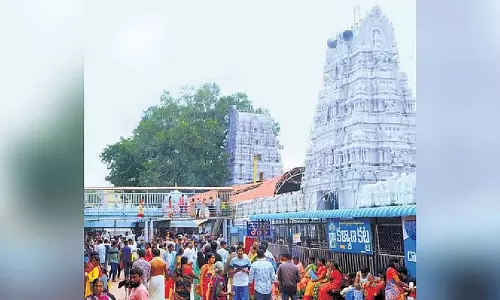 Vemulawada के श्री राजराजेश्वर स्वामी मंदिर में एक और बछड़े की मौत