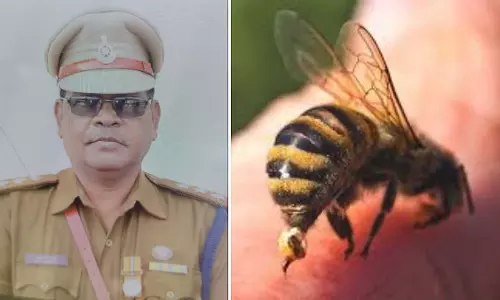 तूफान के दौरान मधुमक्खियों ने उज्जैन PTS पर किया हमला; इंस्पेक्टर धुर्वे की मौत, 5 पुलिसकर्मी घायल