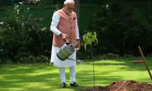 नारीशक्ति के शौर्य और प्रेरणा का प्रतीक, पीएम मोदी ने लगाया कच्छ की महिलाओं से मिला सिंदूर का पौधा नारीशक्ति के शौर्य और प्रेरणा का प्रतीक, पीएम मोदी ने लगाया कच्छ की महिलाओं से मिला सिंदूर का पौधा