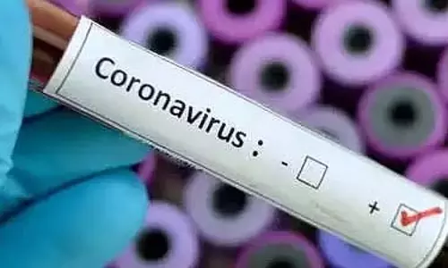 महाराष्ट्र में COVID-19 से जुड़े 16 नए मामले सामने आए, कुल संख्या 500 के पार; मृतकों की संख्या 17 हुई