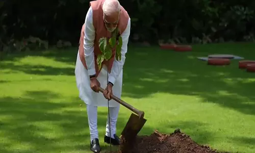 PM Modi ने 1971 के युद्ध में भुज की महिलाओं द्वारा भेंट किया गया सिंदूर का पौधा लगाया PM Modi ने 1971 के युद्ध में भुज की महिलाओं द्वारा भेंट किया गया सिंदूर का पौधा लगाया