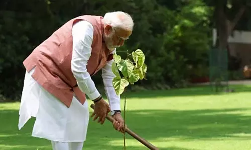 PM Modi ने दिल्ली स्थित अपने आवास पर सिंदूर के पौधे लगाए PM Modi ने दिल्ली स्थित अपने आवास पर सिंदूर के पौधे लगाए