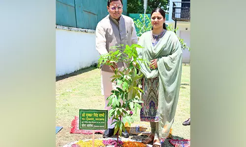 CM Dhami ने सीएमओ आवास पर एक पेड़ मां के नाम अभियान के तहत सीता अशोक का पौधा लगाया CM Dhami ने सीएमओ आवास पर एक पेड़ मां के नाम अभियान के तहत सीता अशोक का पौधा लगाया