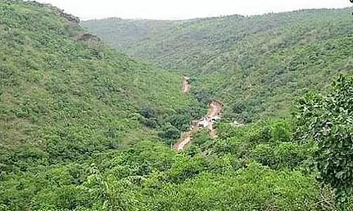 Karnataka : कप्पट्टागुड्डा, एक आकर्षक वन्यजीव अभयारण्य