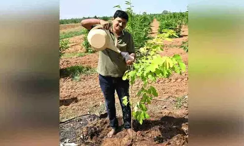 MP Santosh Kumar ने विश्व पर्यावरण दिवस पर पौधे लगाए, ग्रीन इंडिया चैलेंज के लिए नेताओं को नामित किया