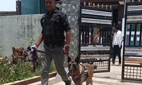 अधिकारी के घर 15 लाख की चोरी, डॉग स्क्वायड लेकर पहुंची पुलिस टीम