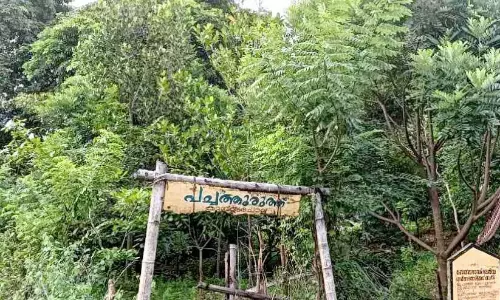 Kerala : कुम्बलम चोल पर्यावरण संरक्षण में अग्रणी