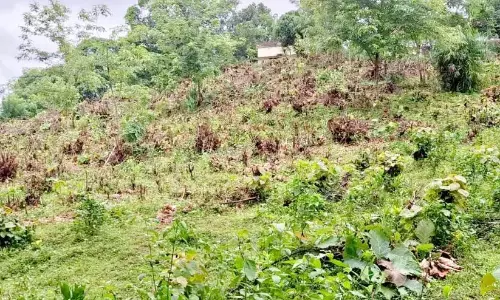 जल की कमी और मृदा क्षरण; स्थिरता में सुधार के लिए हरित परियोजना का क्रियान्वयन