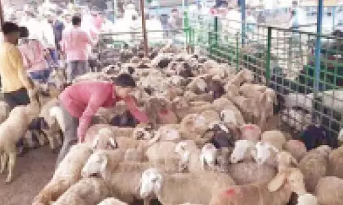 बकरीद से पहले शहर के पशु व्यापारियों ने जबरन वसूली का आरोप लगाया