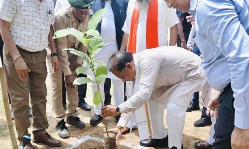 CM साय ने बादाम का पौधा लगाया