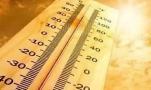 Andhra भीषण गर्मी की स्थिति के लिए तैयार, तापमान 40 डिग्री सेल्सियस तक पहुंचा