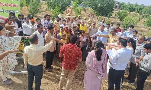Sri Ganganagar: मां के नाम पेड़ और हरियालो राजस्थान की अनूठी पहल से गूंजा पर्यावरण संदेश