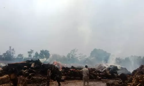 प्लाईवुड बनाने की मिल में लगी आग, दमकल की चार गाड़ियां मौके पर