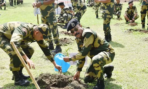विश्व पर्यावरण दिवस 2025: इंदौर में वृक्षारोपण अभियान विश्व पर्यावरण दिवस 2025: इंदौर में वृक्षारोपण अभियान