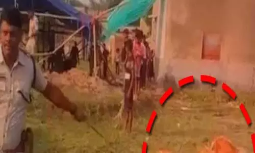 मयूरभंज में तस्करों से 280 से अधिक बछड़ों को बचाया गया