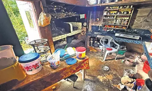 सबरीमाला के जंगलों के किनारे घरों से चावल और खाद्य पदार्थ गायब हो गए
