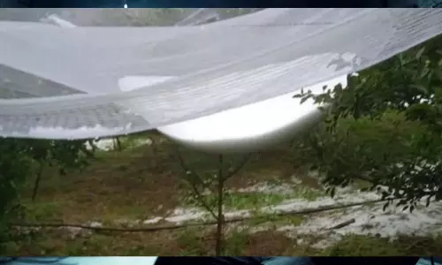 Himachal Weather: ऊंची चोटियों पर बर्फबारी और ओलावृष्टि , फसलों को भारी नुकसान; बारिश की संभावना Himachal Weather: ऊंची चोटियों पर बर्फबारी और ओलावृष्टि , फसलों को भारी नुकसान; बारिश की संभावना